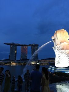 IMG_3755
